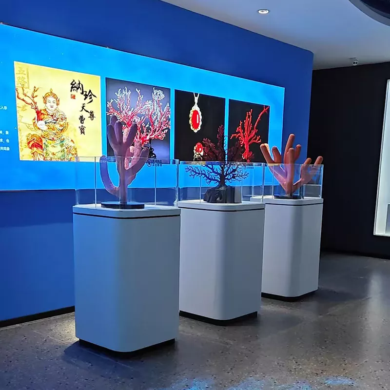 Wooden Display Table